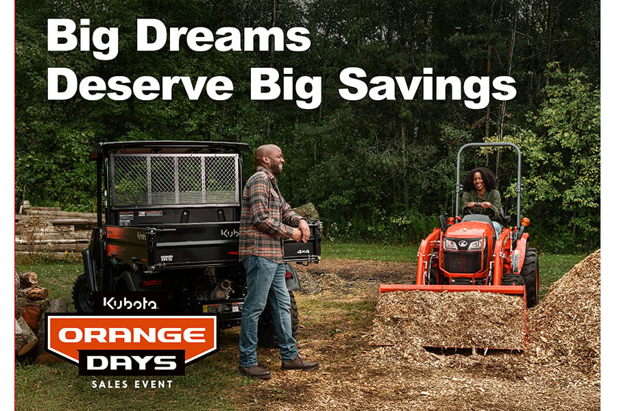 Big Dreams Big Savings